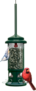 Brome Squirrel Buster Standard