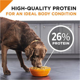 Purina Pro Plan Savor Adult Shredded Blend Lamb & Rice Formula Dry Dog Food