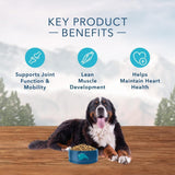Blue Buffalo Wilderness High Protein Salmon Recipe Large Breed Dry Dog Food
