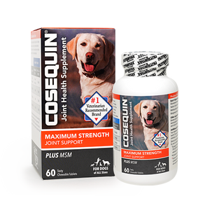 COSEQUIN® Maximum Strength Plus MSM Chewable Tablets
