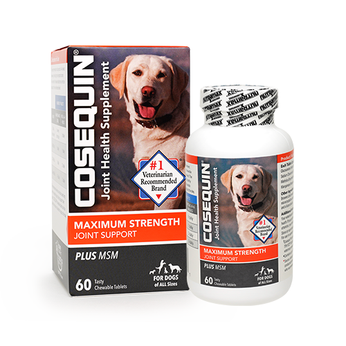 COSEQUIN® Maximum Strength Plus MSM Chewable Tablets