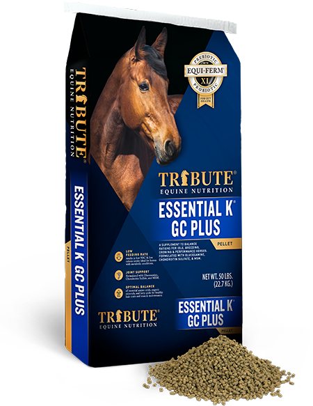 Tribute Essential K® GC Plus