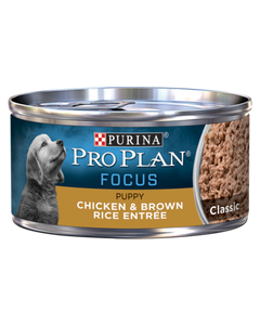 Purina Pro Plan FOCUS Puppy Chicken & Brown Rice Entrée Classic Wet Dog Food