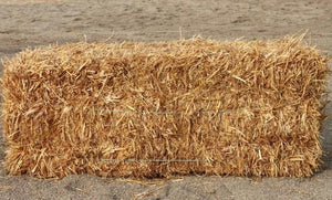 Straw