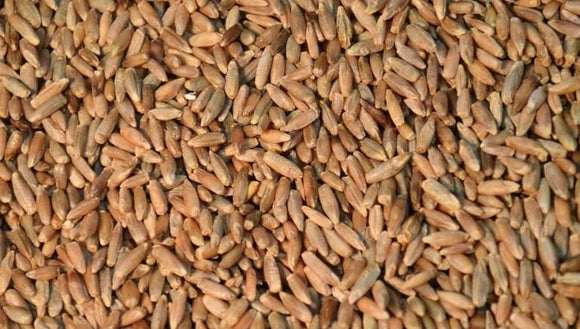 TCF Field Rye