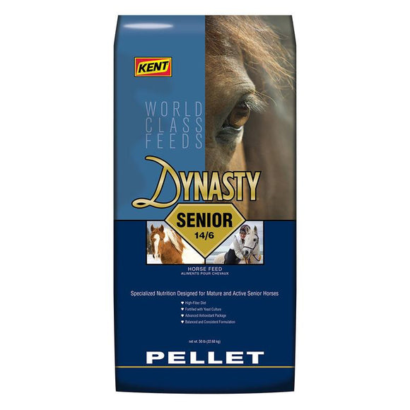 Kent Dynasty Senior