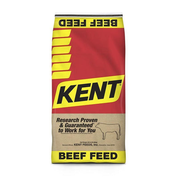 Kent NRB 40-25 300R 90T