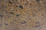 TCF Scratch Grains AN