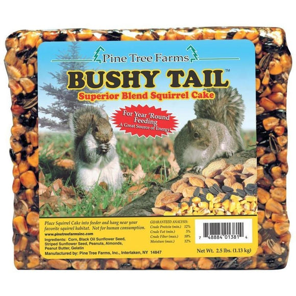 BUSHY TAIL SQUIRREL CAKE
