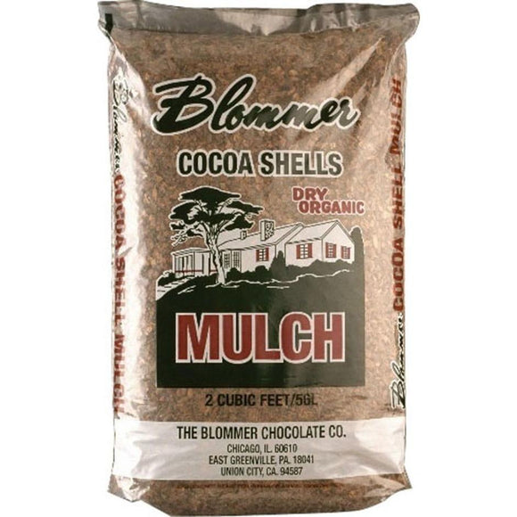 Florida Cocoa Shell