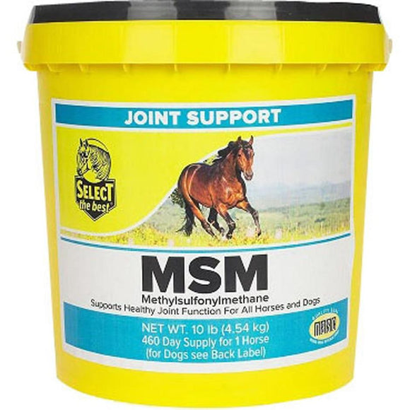 SELECT THE BEST MSM POWDER JOINT SUPPORT