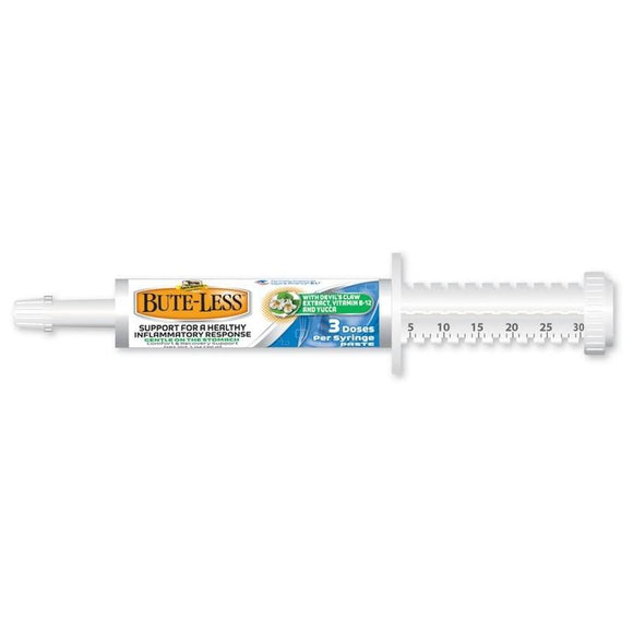 ABSORBINE BUTE-LESS PASTE SYRINGE